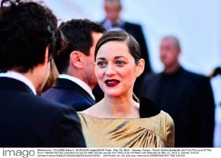 May 15, 2016 - Cannes, France - Marion Cotillard attends the From The Land Of The Moon (Mal De Pierres) premiere during the 69th annual Cannes Film Festival at the Palais des Festivals on May 15, 2016 in Cannes, France. Cannes France  - ZUMAn230