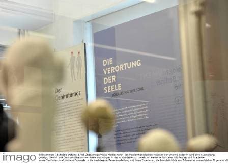 Im Medizinhistorischen Museum der Charite in Berlin wird eine Ausstellung gezeigt, die sich mit dem Verständnis von Seele und Körper in der Antike befasst. Dabei sind einzelne Aufsteller mit Texten und Graphiken sowie Texttafeln und kleinere Exponate in die bestehende Dauerausstellung mit ihren Exponaten, die hauptsächlich aus Präparaten menschlicher Organe und Knochen besteht, eingebunden. Ausstellung Die Seele ist ein Oktopus - antike Vorstellungen vom belebten Körper