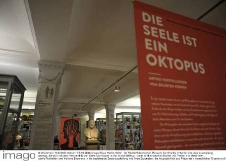 Im Medizinhistorischen Museum der Charite in Berlin wird eine Ausstellung gezeigt, die sich mit dem Verständnis von Seele und Körper in der Antike befasst. Dabei sind einzelne Aufsteller mit Texten und Graphiken sowie Texttafeln und kleinere Exponate in die bestehende Dauerausstellung mit ihren Exponaten, die hauptsächlich aus Präparaten menschlicher Organe und Knochen besteht, eingebunden. Im Hintergrund die Büste von Rudolf VIrchow. Ausstellung Die Seele ist ein Oktopus - antike Vorstellungen vom belebten Körper