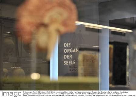 Im Medizinhistorischen Museum der Charite in Berlin wird eine Ausstellung gezeigt, die sich mit dem Verständnis von Seele und Körper in der Antike befasst. Dabei sind einzelne Aufsteller mit Texten und Graphiken sowie Texttafeln und kleinere Exponate in die bestehende Dauerausstellung mit ihren Exponaten, die hauptsächlich aus Präparaten menschlicher Organe und Knochen besteht, eingebunden. Ausstellung Die Seele ist ein Oktopus - antike Vorstellungen vom belebten Körper