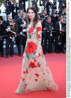 Frederique Bel arrives on the red carpet before the screening of the film Julieta at the 69th annual Cannes International Film Festival in Cannes, France on May 17, 2016.  CAN20160517833 DAVIDxSILPA