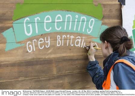 London, UK. 19 May 2016. A gardener applies finishing touches to a painting. Gardeners and horticulturalists are setting up the show gardens and the floral displays at the RHS Chelsea Flower Show. The 2016 Chelsea Flower Show opens to the public on Tuesday, 24 May 2016. RHS Chelsea Flower Show 2016, London, UK 
