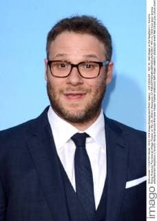 LOS ANGELES - MAY 20: Seth Rogen at the Neighbors 2: Sorority Rising American Premiere at Village Theater on May 20, 2016 in Westwood, CA  HPA