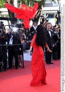 69. Festival de Cannes: Elle Filmpremiere Sonia Braga arrives on the red carpet before the screening of the film Elle at the 69th annual Cannes International Film Festival in Cannes, France on May 21, 2016.  CAN20160521829 DAVIDxSILPA
