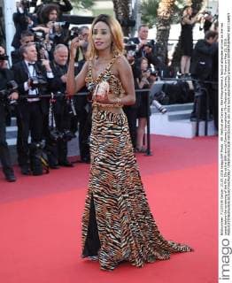 69. Festival de Cannes: Elle Filmpremiere A festival attendee arrives on the red carpet before the screening of the film Elle at the 69th annual Cannes International Film Festival in Cannes, France on May 21, 2016.  CAN20160521828 DAVIDxSILPA