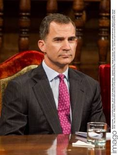 Spanish king, Felipe VI durign the Quevedos iberoamerican award of grafic humor 2014. May 26,2016.  (2016260510)