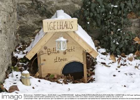IMAGO Creative: Jahreszeit Herbst, Igel beziehen Winterquartier Igelhaus  1065507108