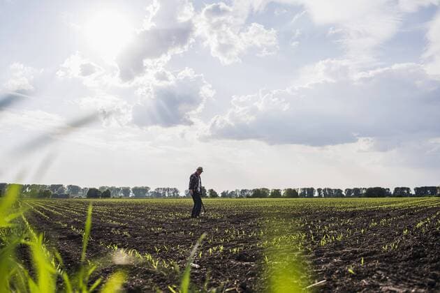 Farmer standing in a field model released Symbolfoto  UUF007341