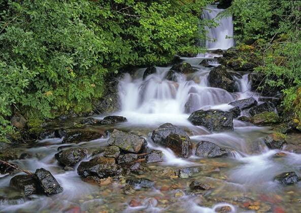 F_North. Mountain waterfall East of Prince Rupert, British Columbia Canada  acp95375 MikexGrandmaison
