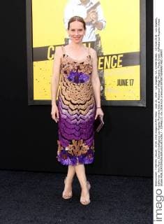 June 10, 2016 - Los Angeles, CA, United States - 10 June 2016 - Los Angeles, California - Amy Ryan. Central Intelligence Los Angeles Premiere held at Westwood Village Theatre. Photo Credit: AdMedia Los Angeles United States - ZUMAa123