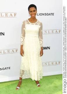 Greeleaf Premiere in Los Angeles June 15, 2016 - Hollywood, CA, United States - 15 June 2016 - Hollywood, California - Kim Hawthorne. OWN Network s Greenleaf Los Angeles Premiere held at The Lot. Photo Credit: Hollywood United States - ZUMAa123