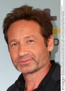 LOS ANGELES - JUN 16: David Duchovny at the Aquarius Season 2 Premiere Screening Arrivals at the Paley Center For Media on June 16, 2016 in Beverly Hills, CA  KathyxHutchins
