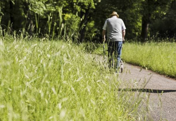 Back view of senior man strolling with wheeled walker in nature model released Symbolfoto  UUF007581