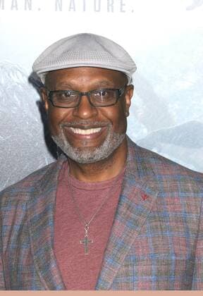 June 27, 2016 - Los Angeles, California, United States - June 27th 2016 - Los Angeles California USA - Actor JIM PICKENS at the Warner Bros Premiere: The Legend of Tarzan held at the TCL Theater Hollywood. Los Angeles United States - ZUMAf05_