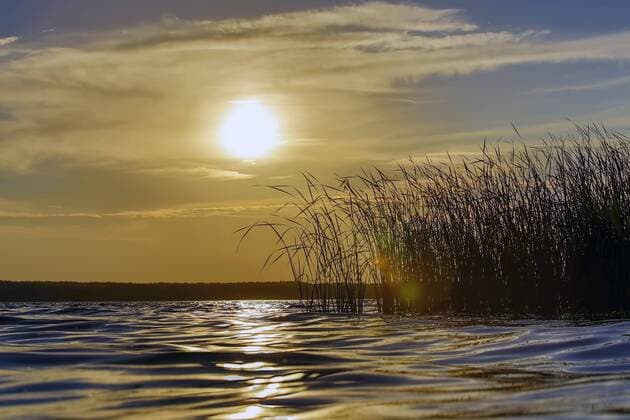 See mit Schilfgras bei Sonnenuntergang, Flußlandschaft Mittelelbe, Sachsen-Anhalt, Deutschland, Europa Copyright: imageBROKER/ThomasxHinsche ibxhin04382556.jpg