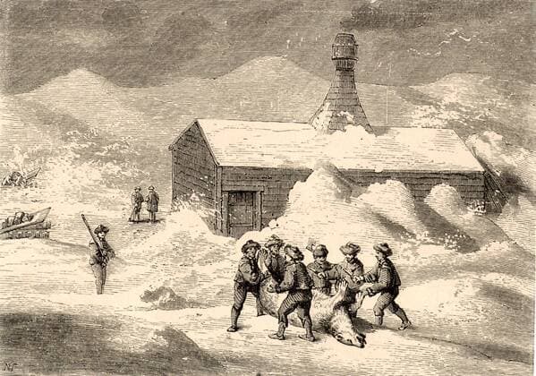 Willem Barents (d1597) Dutch navigator who led expeditions in search of the Northeast Passage. Barents expedition in winter quarters off Novaya Zemlya butchering a Polar Bear. Engraving. WHA  !ACHTUNG AUFNAHMEDATUM GESCHÄTZT! Copyright: WHA UnitedArchives010888