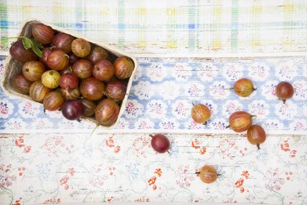 Cardboard box of red gooseberries  LVF005090