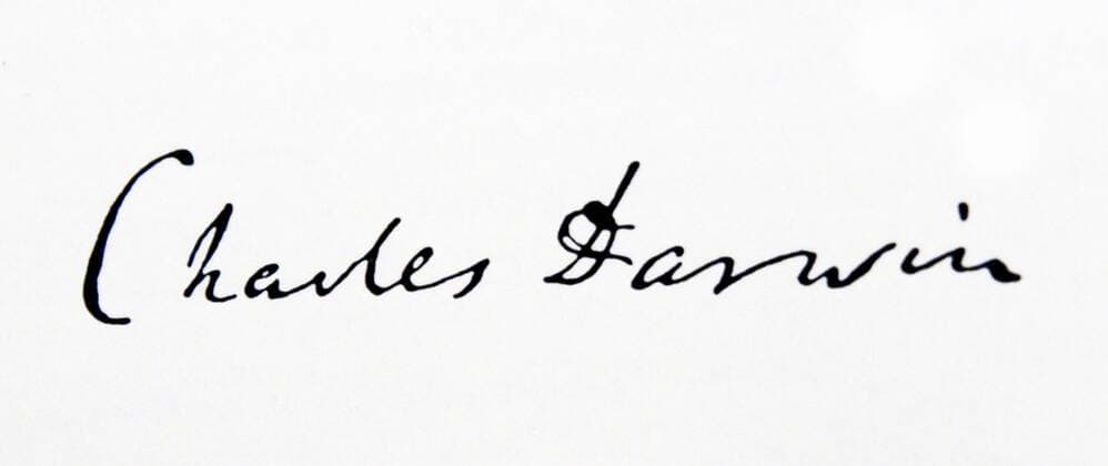 Signature of Charles Darwin (1809-1882) an English naturalist and geologist. Dated 19th Century WorldxHistoryxArchive