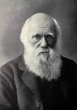 Charles Darwin 1809 - 1882 WorldxHistoryxArchive