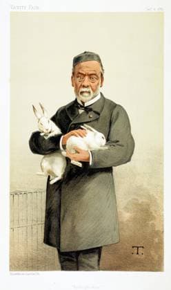 Louis Pasteur (1822-185) French chemist and founder of modern bacteriology, here holding rabbits used in his work on Hydrophobia (Rabies). Cartoon from Vanity Fair , January 1887. WHA  !ACHTUNG AUFNAHMEDATUM GESCHÄTZT! Copyright: WHA UnitedArchives0460000174