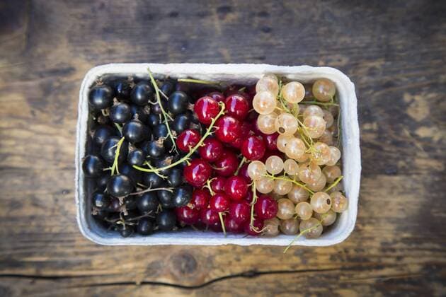 Cardboard box of black, red and white currants  LVF005097