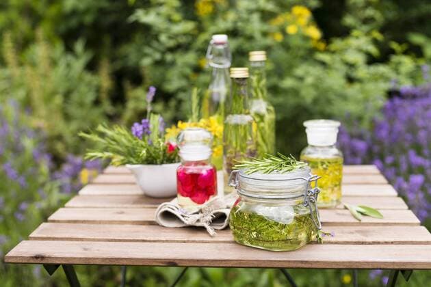 Different herb oils, thyme, rose, lavender, salve, rosemary and saint john s wort  MYF001698