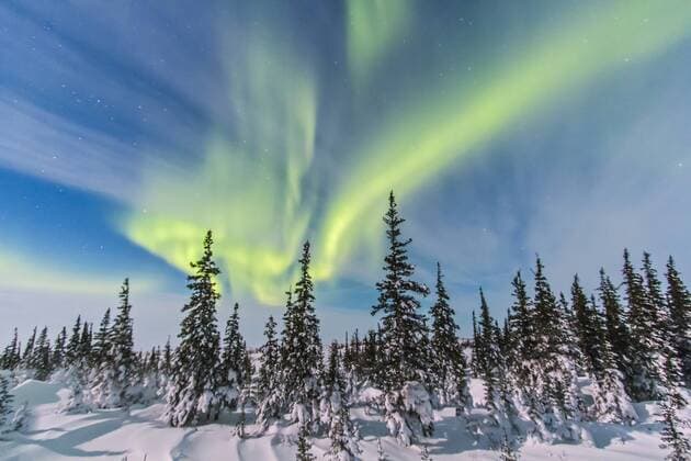 February 9, 2014 - Aurora borealis seen from Churchill, Manitoba, Canada, in a view looking northwest over the trees. Moonlight lights the landscape. Cassiopeia is at upper left.  Copyright: AlanxDyer StocktrekxImages ADY200200S