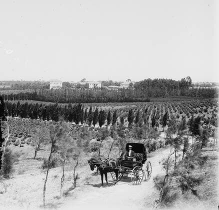 Jewish colony in Palestine. Photograph shows Mikveh (Mikveh) Israel Agricultural School with buildings in the background WHA  !ACHTUNG AUFNAHMEDATUM GESCHÄTZT! Copyright: WHA UnitedArchivesWHA_046_0550