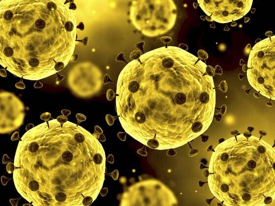 Microscopic view of coronavirus.  Copyright: StocktrekxImages STK700906H