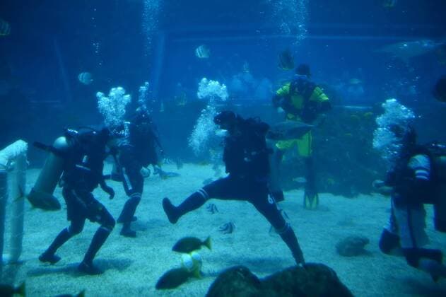 Unterwasser-Fußball in Nanchang, China (160813) -- NANCHANG, Aug. 13, 2016 -- Performers play an underwater football match at an aqua world as to attract more visitors in Nanchang, capital of central China s Jiangxi Province, Aug. 13, 2016. ) (cxy) CHINA-NANCHANG-UNDERWATER-FOOTBALL (CN) ZhouxMi 