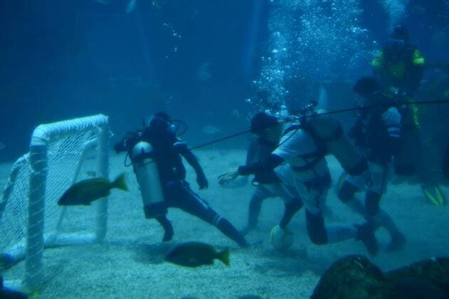 Unterwasser-Fußball in Nanchang, China (160813) -- NANCHANG, Aug. 13, 2016 -- Performers play an underwater football match at an aqua world as to attract more visitors in Nanchang, capital of central China s Jiangxi Province, Aug. 13, 2016. ) (cxy) CHINA-NANCHANG-UNDERWATER-FOOTBALL (CN) ZhouxMi 