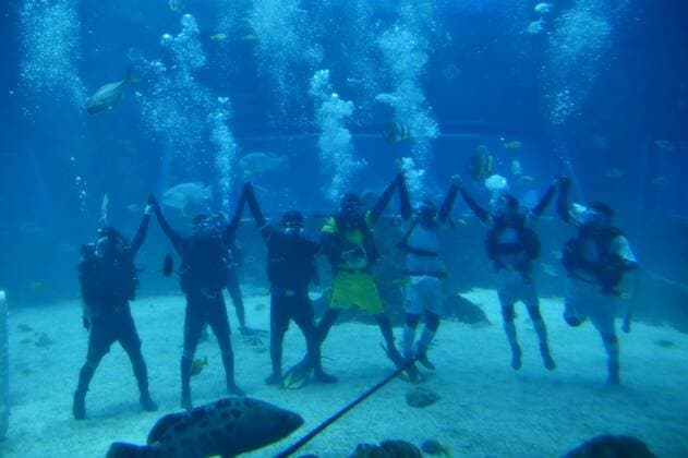 Unterwasser-Fußball in Nanchang, China (160813) -- NANCHANG, Aug. 13, 2016 -- Performers send their greetings after an underwater football match at an aqua world, as a way to attract more visitors, in Nanchang, capital of central China s Jiangxi Province, Aug. 13, 2016. ) (cxy) CHINA-NANCHANG-UNDERWATER-FOOTBALL (CN) ZhouxMi 