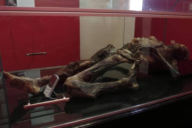 Mumifizierter Körper im Museum in Cerdan, Mexiko A picture made available on 28 August 2016 shows the mummified body found in June 2015 in the Pico de Orizaba, the Mexican highest mountain, and which is now exhibed at the Museum of Cerdan, in city of Cerdan, Mexico, 27 August 2016. The unidentified body is aproximately 50 years old and have been mummified for more than 15 years, according to experts. Mummy found in June 2015 in the Pico de Orizaba exhibed in Mexico !ACHTUNG: NUR REDAKTIONELLE NUTZUNG!  MEX01 20160828-636080035556442828