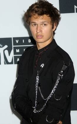 August 28, 2016 - New York, New York, U.S. - Actor ANSEL ELGORT poses for photos in the press room at the 2016 MTV Video Music Awards held at Madison Square Garden. New York U.S. - ZUMAk03_