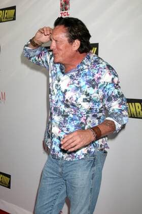 LOS ANGELES - SEP 7: Michael Madsen at the UNBELIEVABLE!!!!! Premiere at the TCL Chinese 6 Theaters on September 7, 2016 in Los Angeles, CA  Copyright: xKathyxHutchinsx