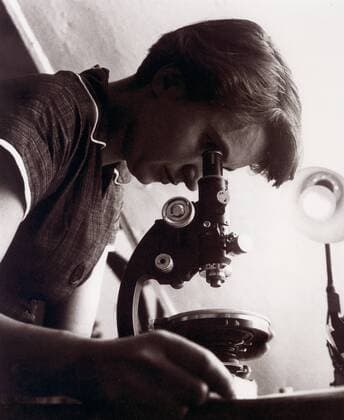 IMAGO History, Entdeckung der Doppelhelixstruktur der DNA: 1953 Rosalind Elsie Franklin (1920-1958) was a British chemist and crystallographer who is best known for her role in the discovery of the structure of DNA. 1955 WHA  !ACHTUNG AUFNAHMEDATUM GESCHÄTZT! Copyright: WHA UnitedArchivesWHA_060_0997