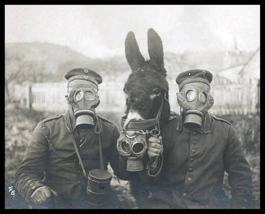 Photograph of two soldiers and a donkey wearing a gas mask during the Spanish Civil War. Dated 1936 WHA  !ACHTUNG AUFNAHMEDATUM GESCHÄTZT! Copyright: WHA UnitedArchivesWHA_068_0373