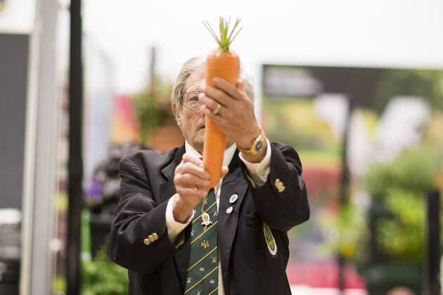 September 16, 2016 - Harrogate, Yorkshire, UK - Harrogate UK. Judging has begun this morning in the Giant vegetable competition that see s competitors from across the UK show their biggest Carrot s, Cucumbers, Cabbages, Onion s & Tomatoes competing for the title of heaviest & longest at the Harrogate Autumn Flower Show. Harrogate UK  - ZUMAl94_