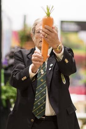 September 16, 2016 - Harrogate, Yorkshire, UK - Harrogate UK. Judging has begun this morning in the Giant vegetable competition that see s competitors from across the UK show their biggest Carrot s, Cucumbers, Cabbages, Onion s & Tomatoes competing for the title of heaviest & longest at the Harrogate Autumn Flower Show. Harrogate UK  - ZUMAl94_