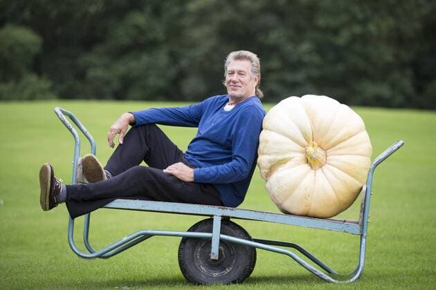 September 16, 2016 - Harrogate, Yorkshire, UK - Harrogate UK. Picture shows Brian Marshall & his prize winning Pumpkin that weighed 139.5 KG at the Giant vegetable competition in Harrogate. The competition see s competitors from across the UK show their biggest Carrot s, Cucumbers, Cabbages, Onion s & Tomatoes competing for the title of heaviest & longest at the Harrogate Autumn Flower Show. Harrogate UK  - ZUMAl94_