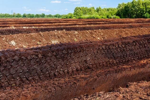 IMAGO Nature: Unsere Erde, Ressourcen, Torf industrieller Torfabbau, Deutschland, Niedersachsen mechanical cutting of peat, Germany, Lower Saxony BLWS436710 Copyright: xblickwinkel McPHOTO H.xKraussx