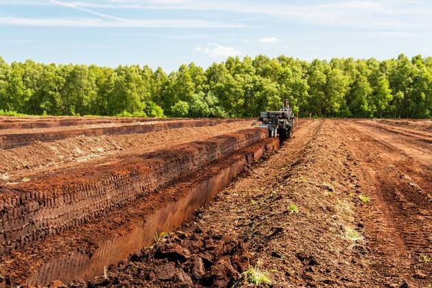 IMAGO Nature: Unsere Erde, Ressourcen, Torf industrieller Torfabbau, Deutschland, Niedersachsen mechanical cutting of peat, Germany, Lower Saxony BLWS436707 Copyright: xblickwinkel McPHOTO H.xKraussx