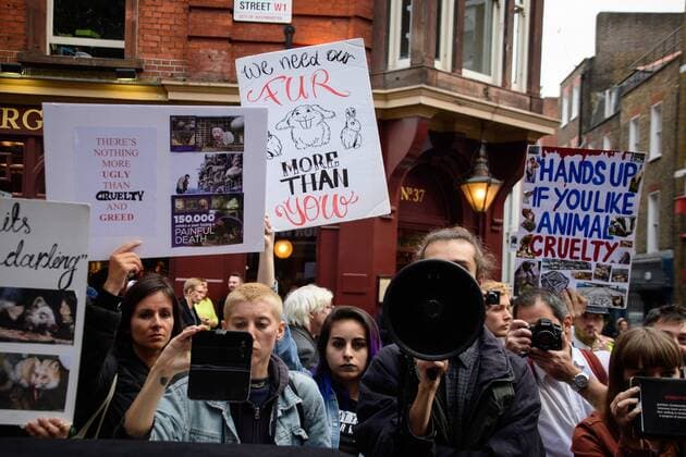 UK: LFW targeted by Animal Cruelty Protestors An animal cruelity protester uses a megaphone to target London Fashion Week s runway show audiences causing the Metropolitan Police Service to close roads surrounding the event in London FOR EDITORIAL USE ONLY.Pacific Press Agency  HughxPeterswald