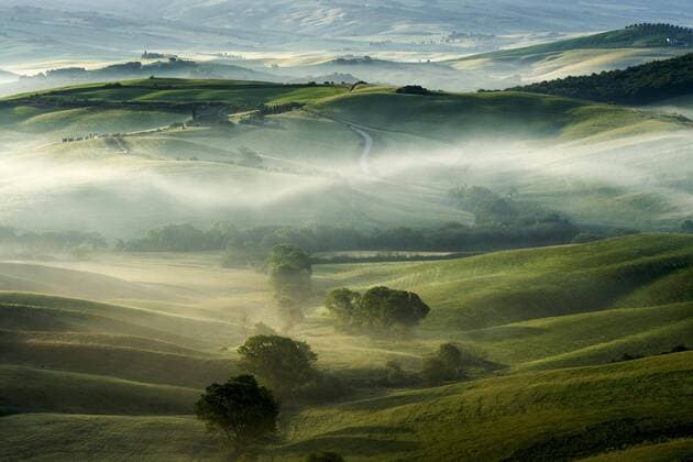 Typische Landschaft der Toskana im Val d Orcia, Haus auf einem Hügel, Felder und Zypressen (Cupressus sp.), Bäume und Morgennebel bei Sonnenaufgang, San Quirico d Orcia, Toskana, Italien, Europa Copyright: imageBROKER/FrankxBienewald iblfbd04380331.jpg