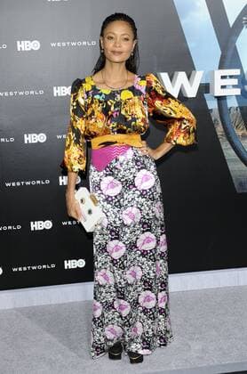 Thandie Newton WESTWORLD SERIES PREMIERE Hollywood Patrick Rideaux PicturePerfect