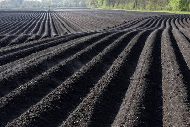  Frisch gepflügtes Feld mit Furchen, schwarze Erde, Oberdingermoos, bei Oberding, Oberbayern, Bayern, Deutschland, Europa Copyright: imageBROKER/BildverlagxBahnmüller ibxdwb04383235.jpg