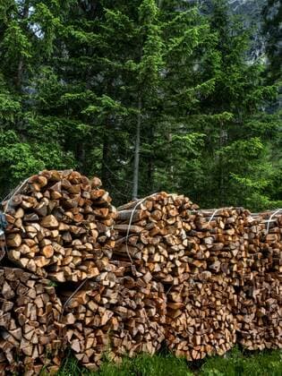 IMAGO Nature: Unsere Erde, Energiequellen, Biomasse Aufgestapeltes Holz als Brennholz für den Winter McPWOD McPWOD