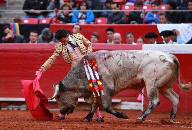 Mexican bullfighter Andre Lagravere with his first bull of the afternoon Azucarero (418 kilograms) during a bullfight at the Mexico Bullring in Mexico City, Mexico, 09 October 2016. BUllfigth at the Mexico Bullring !ACHTUNG: NUR REDAKTIONELLE NUTZUNG!  MEX40 20161010-636116745085744697
