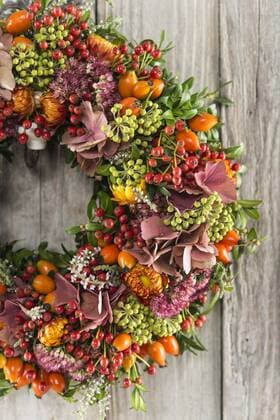  Herbstkranz Ausschnitt an Holzwand, gebunden mit Hagebutte (Rosa canina), Heidekraut (Calluna vulgaris), Hortensie (Hydrangea macrophylla), Efeu (Hedera helix), Buchs (Buxus sempervirens), Fette Henne (Sedum telephium), Strohblume (Helichrysum bracteatum) Copyright: imageBROKER/JohannesxGeyer ibxjog04416820.jpg