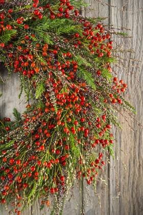 IMAGO Creative: Herbst, Herbstkränze Herbstkranz Ausschnitt an Holzwand, gebunden mit Hagebutte (Rosa canina groß), Erika (Erica gracilis), Zittergras (Panicum virgatum), Wacholder (Juniperus communis) Copyright: imageBROKER/JohannesxGeyer ibxjog04416827.jpg